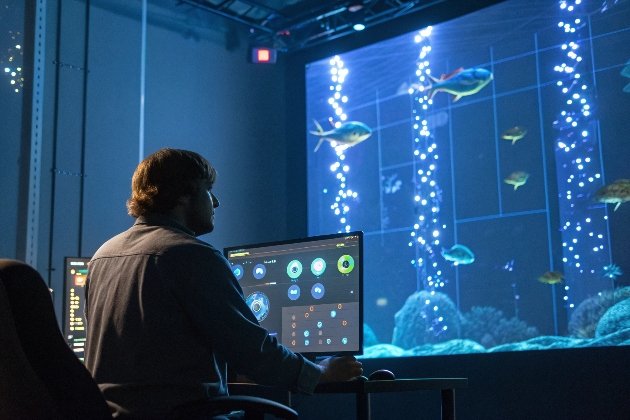 Developer monitoring underwater aquarium simulation on computer