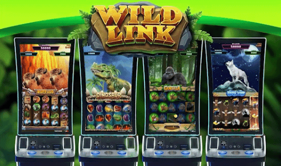 Wild Link